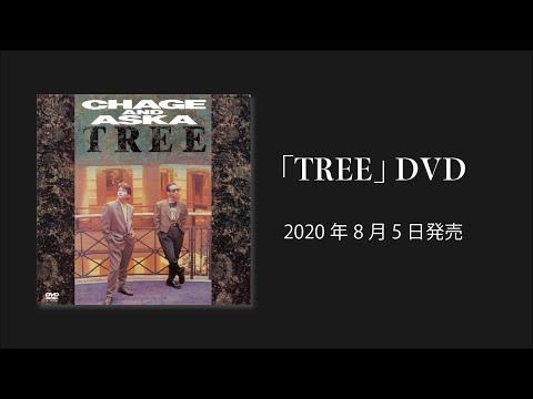 [プロモーション]「TREE」DVD / CHAGE and ASKA / 2020年8月5日発売
