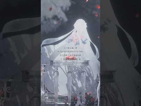 「薔薇の下で」Music Video #tayori #tayori_薔薇の下で #tayori_magic