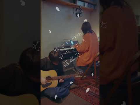 あたらよ - 春となり (弾き語り Opening ver,) #春となり #僕ヤバ # #あたらよ #atarayo #可惜夜