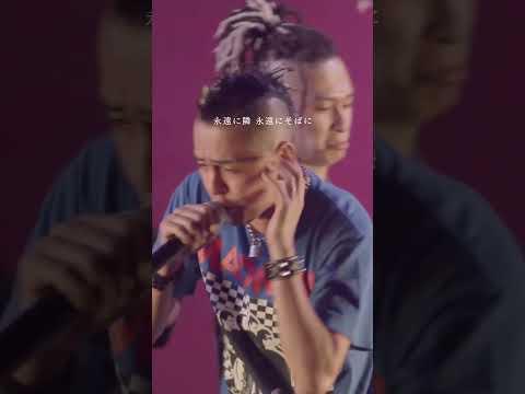 「ずっと(Remix) [渋谷レゲエ祭2024ver]」J-REXXX 🔥 #spicychocolate #ずっとremix #渋谷レゲエ祭 #J_REXXX #live #レゲエ #HIPHOP