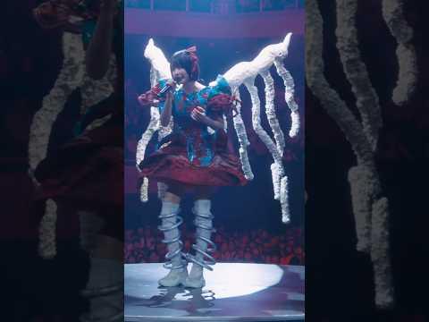 #ano - ちゅ、多様性。【LIVE Blu-ray「呪いをかけて、まぼろしをといて。」at 日本武道館 2025.09.03】#shorts