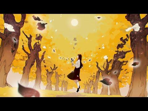 tayori - 花がら (Official Video)