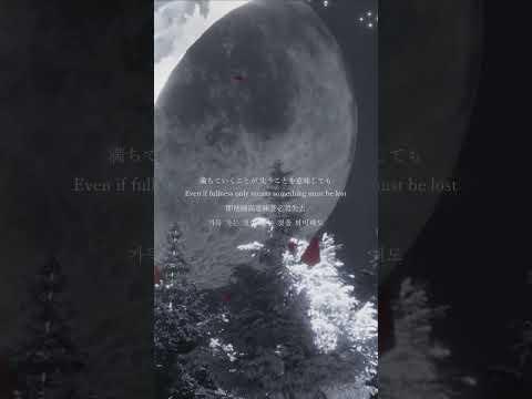 「薔薇の下で」Music Video #tayori #tayori_薔薇の下で #tayori_magic