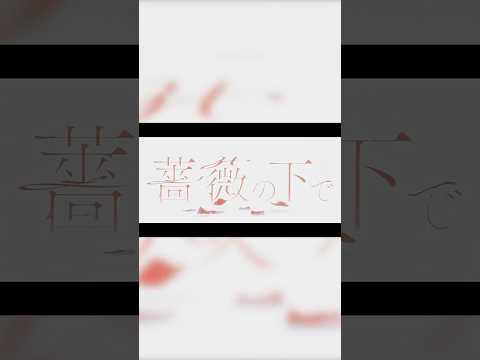 「薔薇の下で」Music Video #tayori #tayori_薔薇の下で #tayori_magic