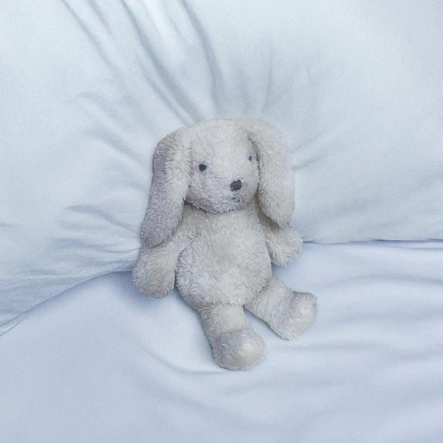 ユキくんあのね